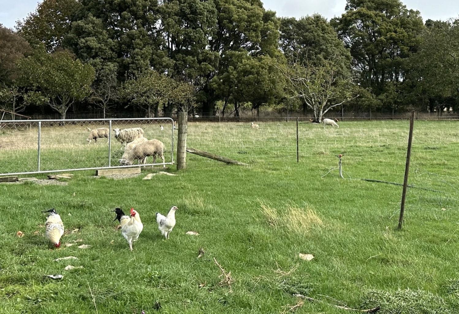 Country Retreats On Ranzau 9 Lejlighed Hope Eksteriør billede
